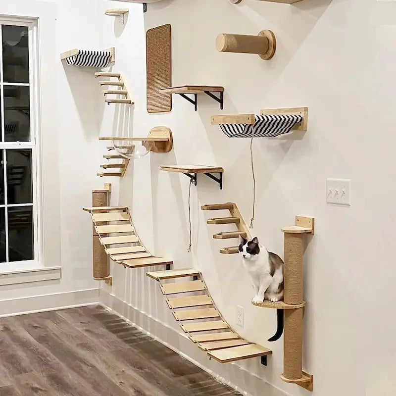 Arbre à chat mural 