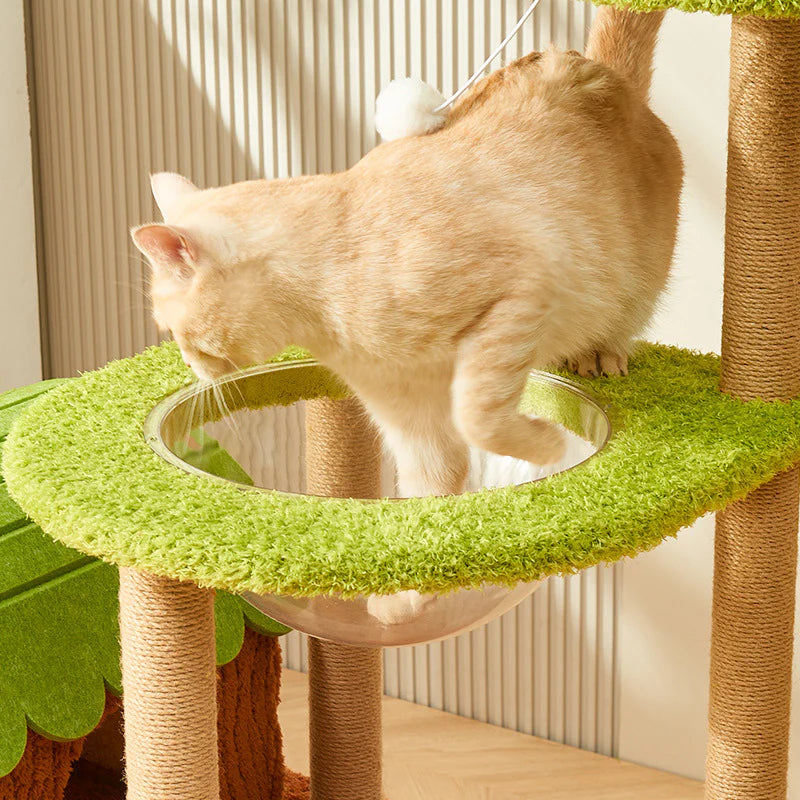 Arbre à chat Jungle Paradis