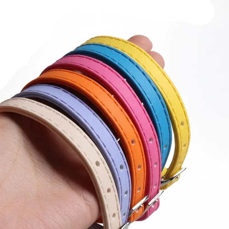Collier élastique chat Griffe d'Amour