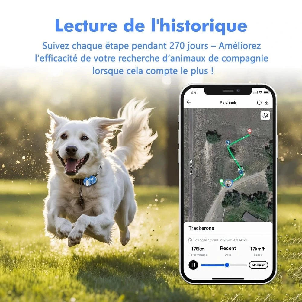 Collier gps chat avec abonnement - Suivi en temps réel Griffe d'Amour