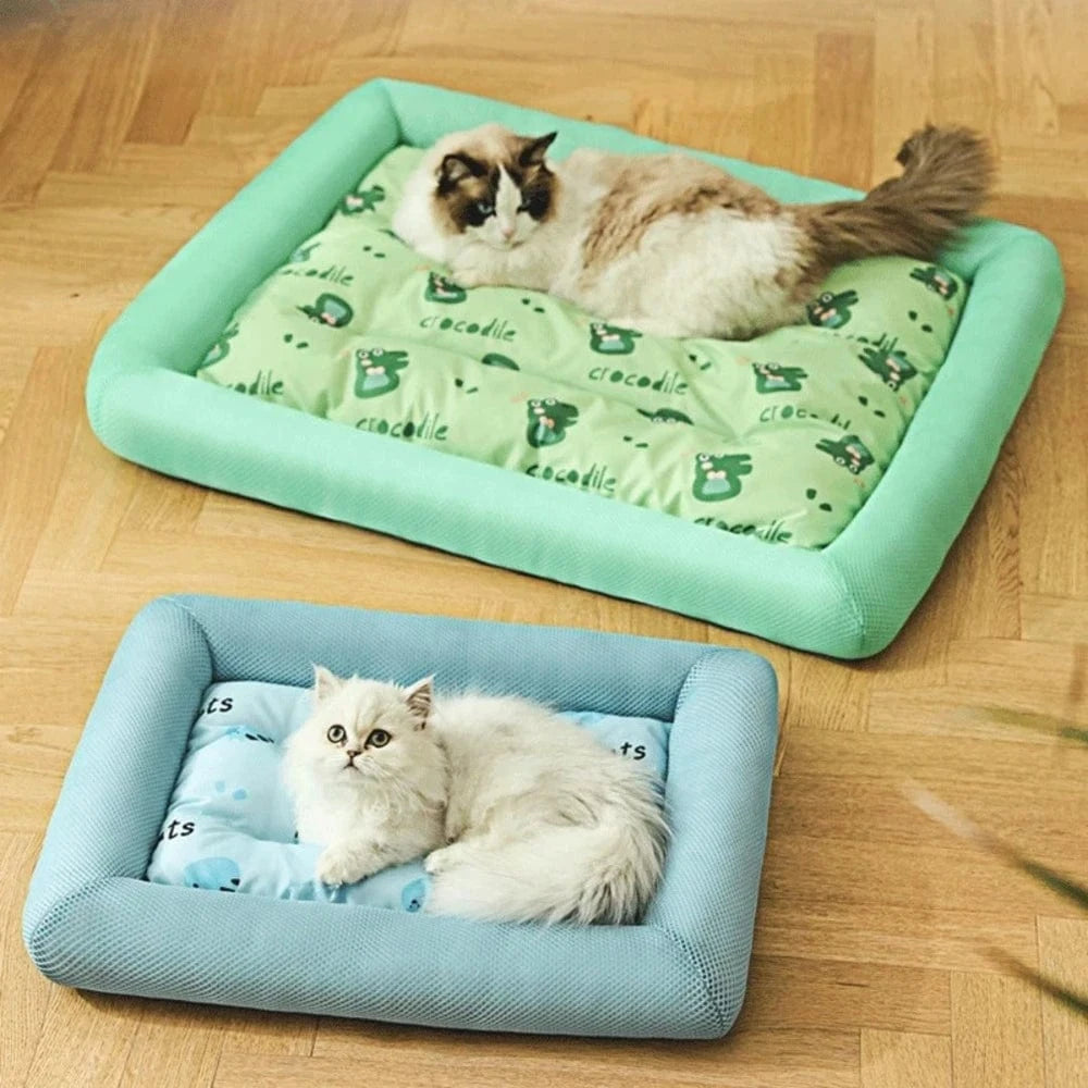 Coussin rafraichissant chat - Fraîcheur Instantanée Griffe d'Amour
