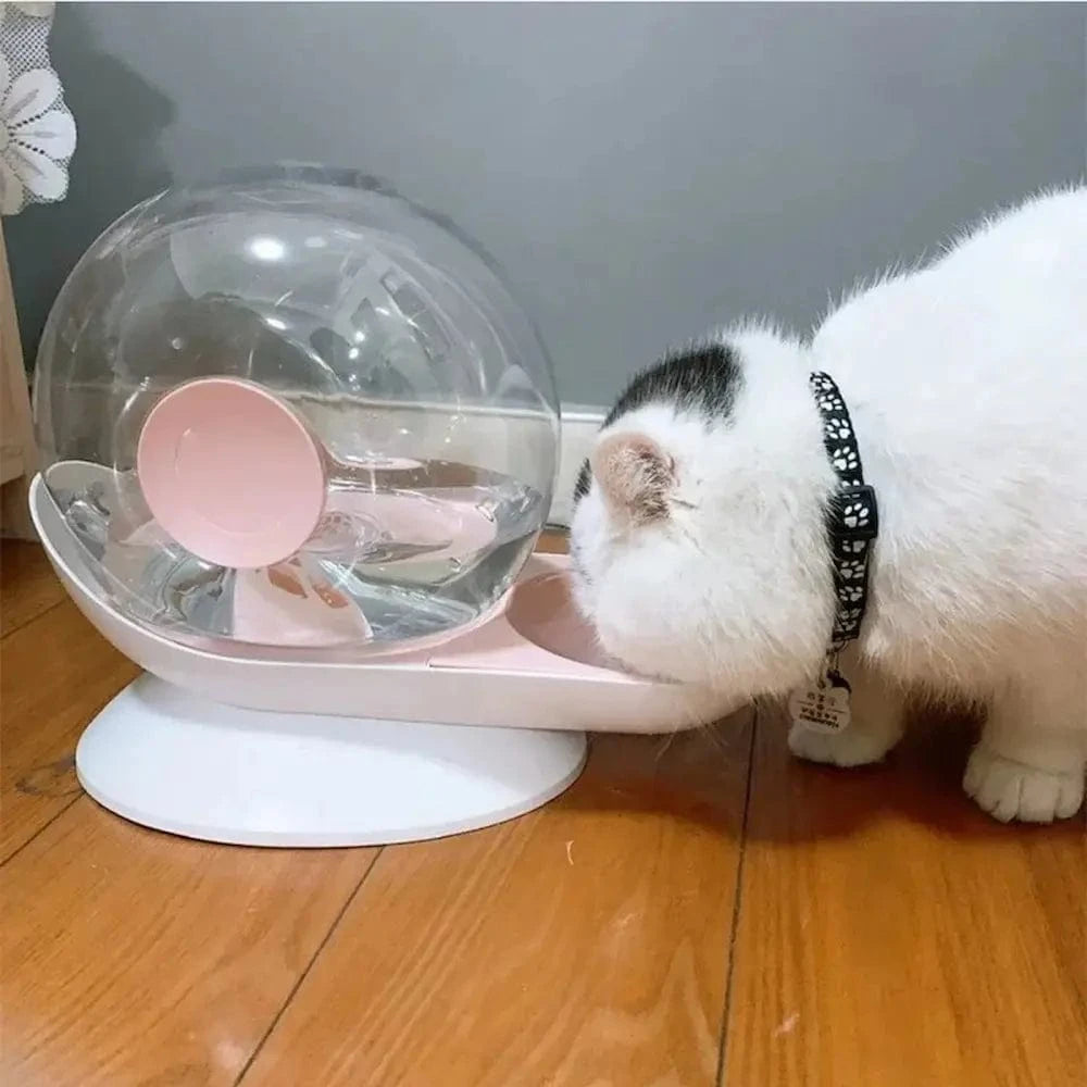 Fontaine à eau pour chat escargot - Encourage l'hydratation Griffe d'Amour