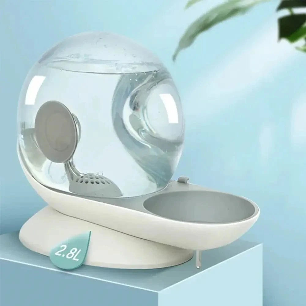 Fontaine à eau pour chat escargot - Encourage l'hydratation Griffe d'Amour