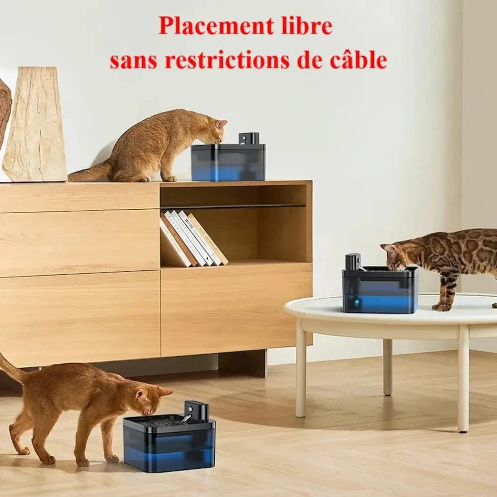 Fontaine à eau pour chat sans fil - 30 jours d’autonomie Griffe d'Amour