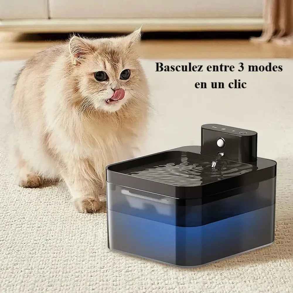 Fontaine à eau pour chat sans fil - 30 jours d’autonomie Griffe d'Amour