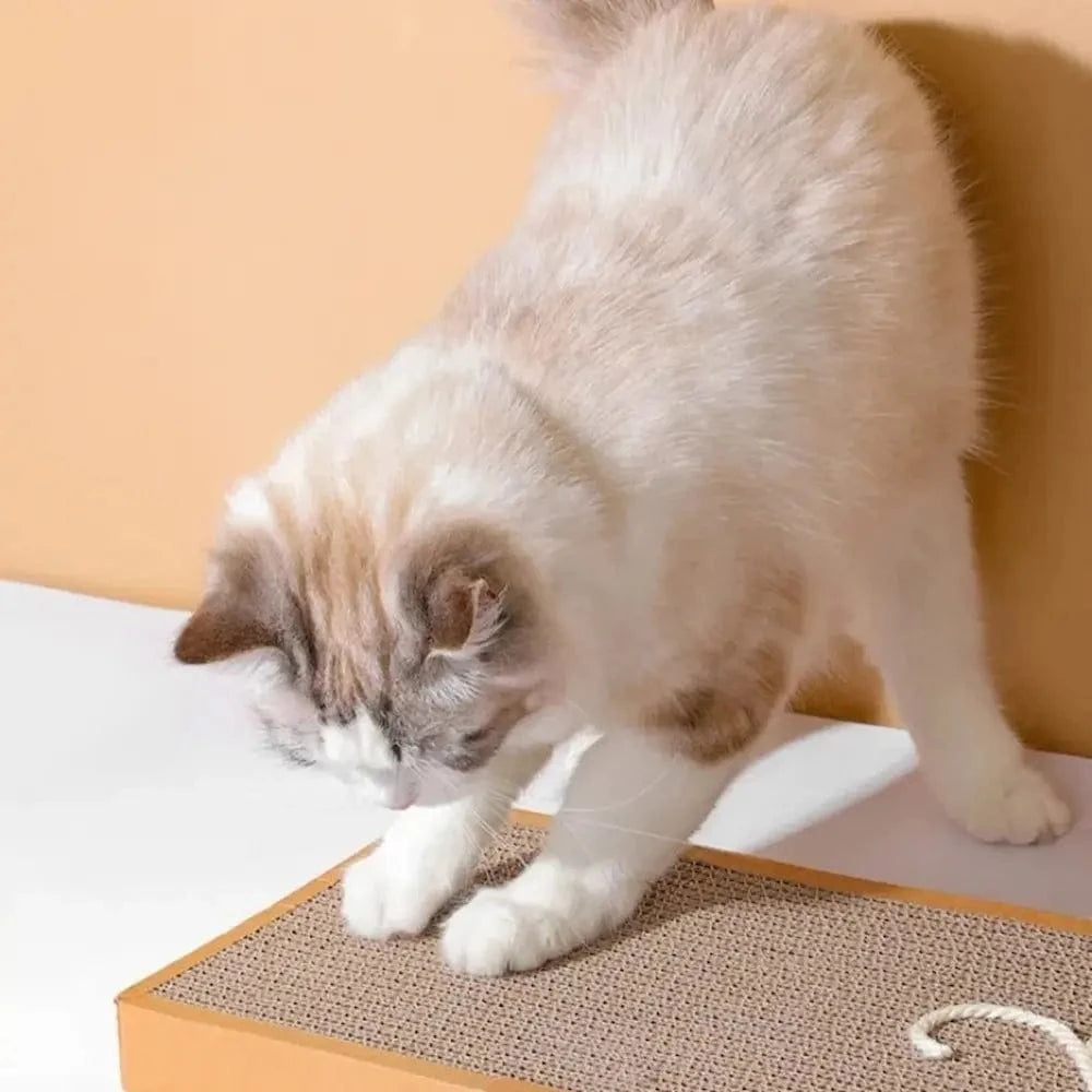 Griffoir souris pour chat - Anti-stress & divertissant Griffe d'Amour