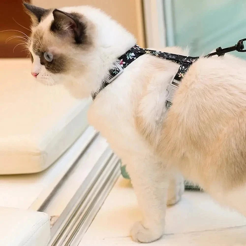 Harnais chat anti-étranglement - Sécurité et confort Griffe d'Amour