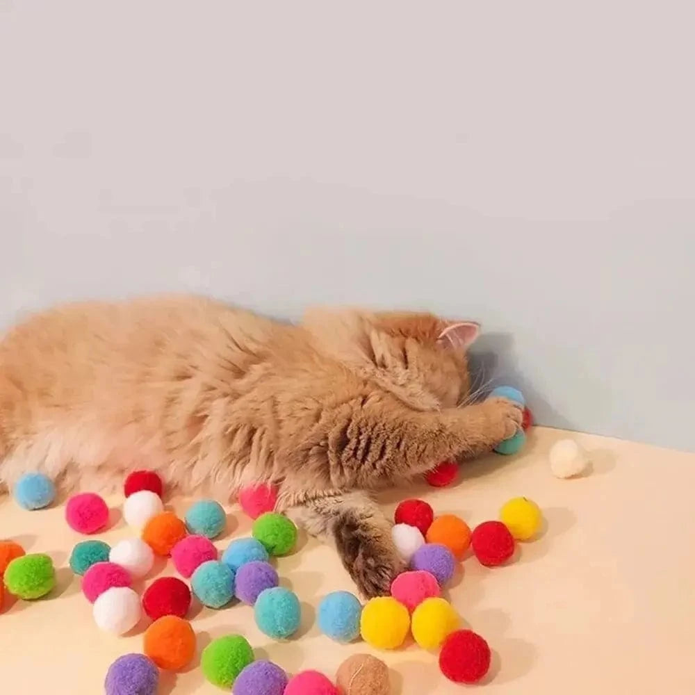 Lanceur de balle pour chat - Jeu interactif et amusant Griffe d'Amour