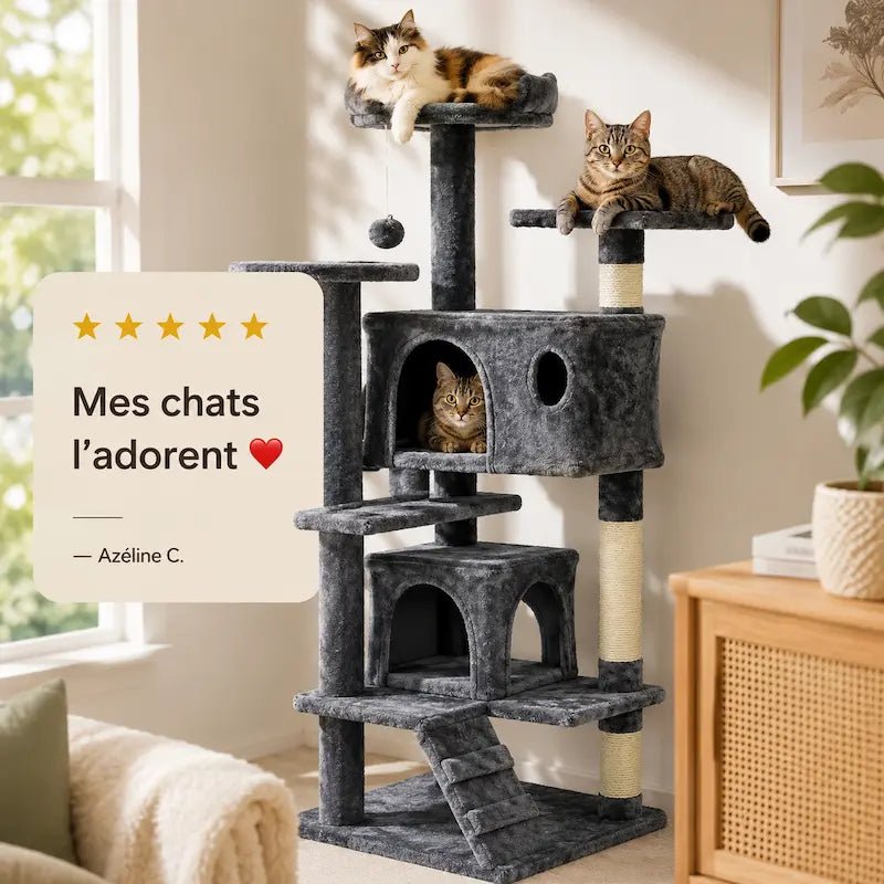 Arbre à chat avec échelle - Accès facile | Catitude