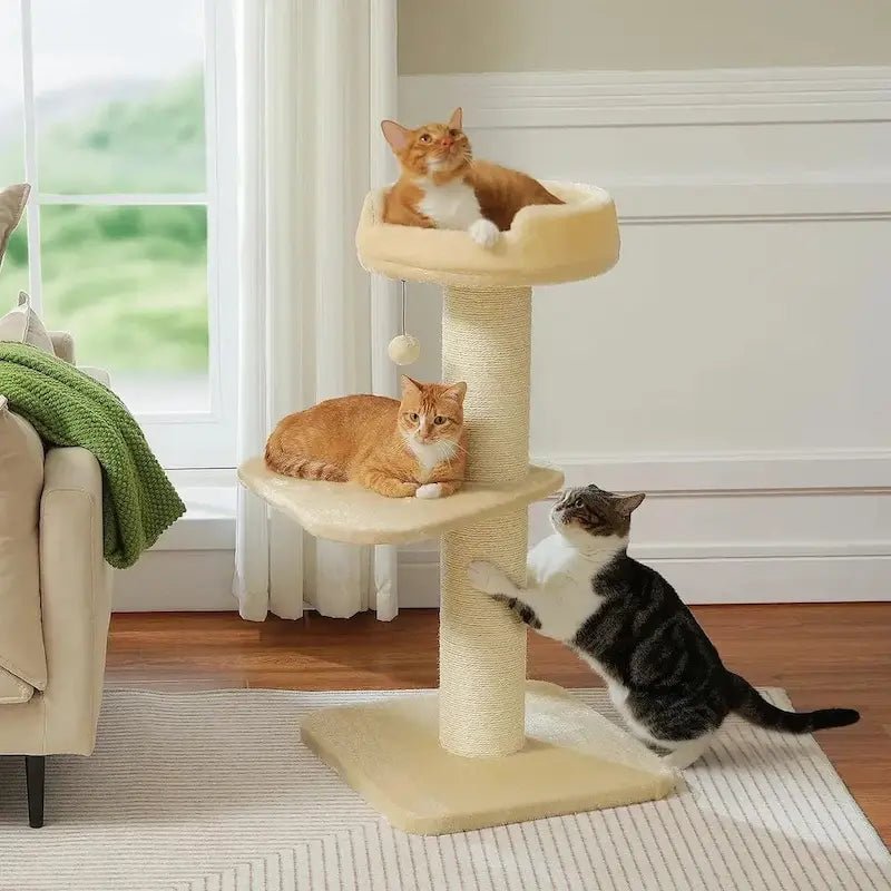 Arbre à chat avec griffoir - Anti griffes canapés | ChatZen