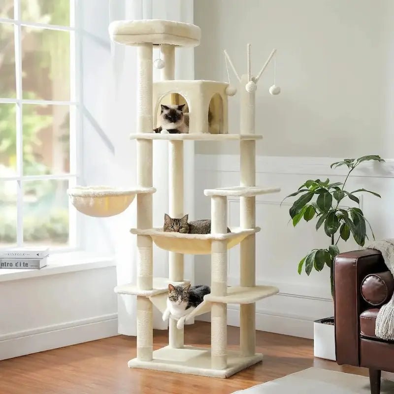 Arbre à chat avec hamac - Repos garanti | Féliko