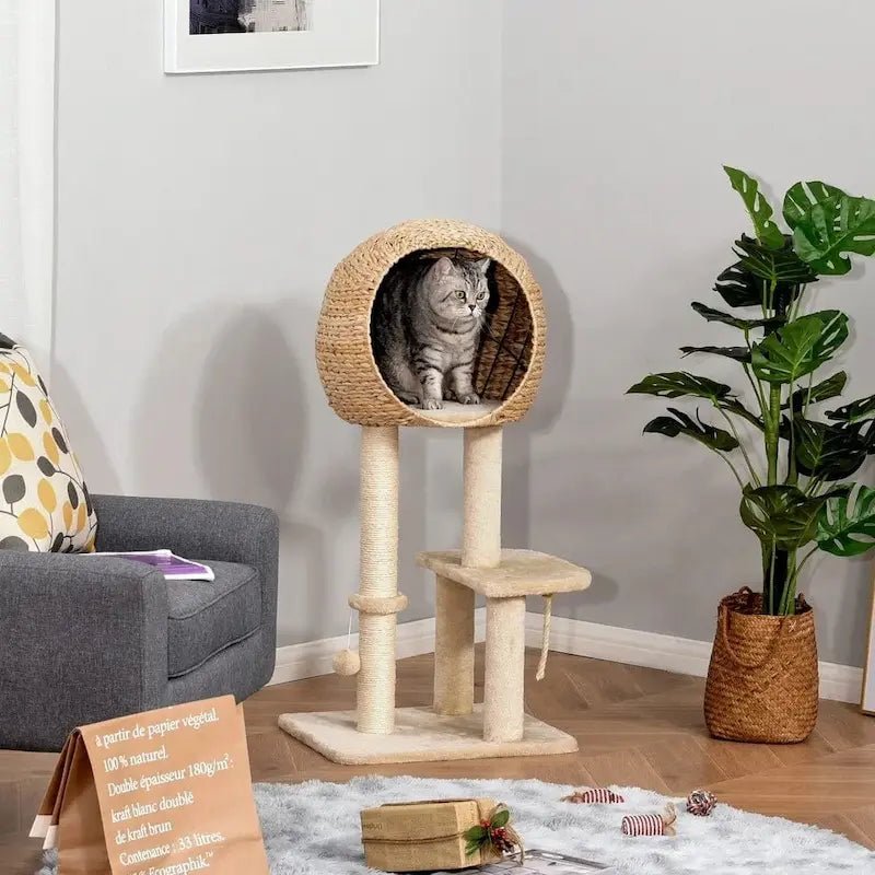 Arbre à chat avec panier - Confort assuré | Félinest