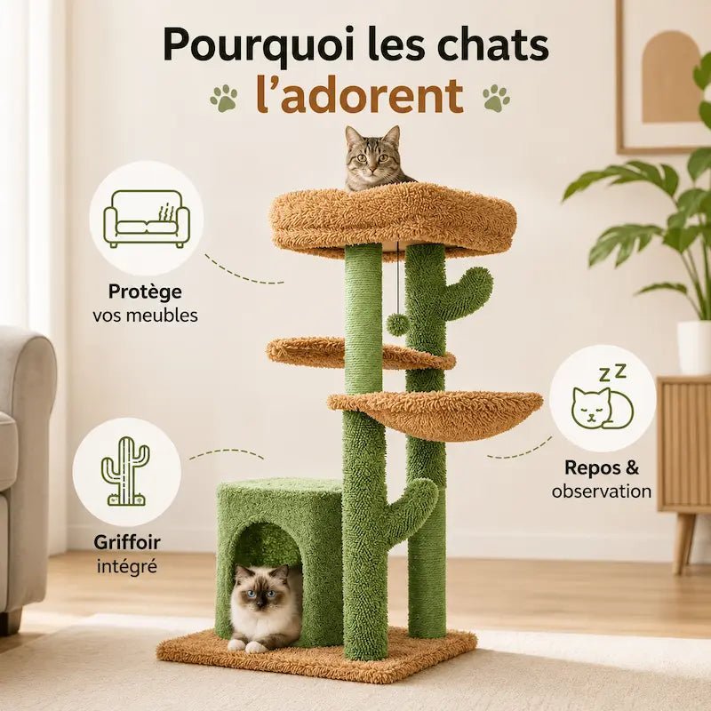 Arbre à chat cactus avec griffoir - Jeu & repos design | FeliNest