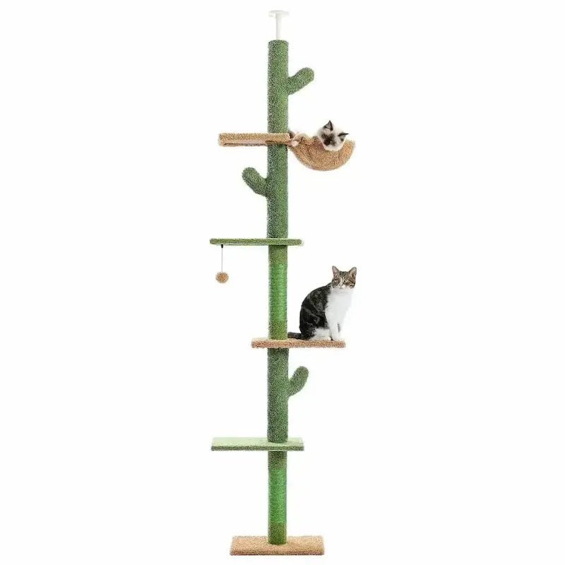 Arbre à chat cactus - Déco & griffoir | Felipricks