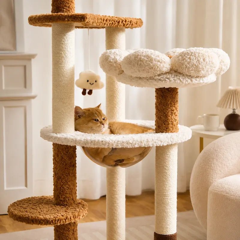 Arbre à chat cosy - Confort premium | CozyNest