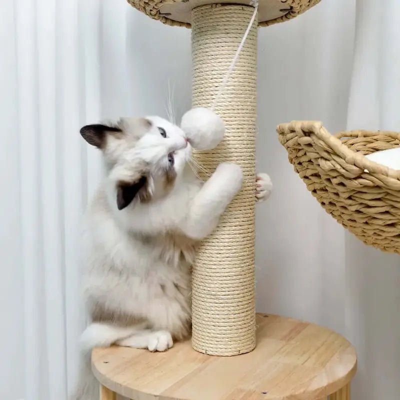Arbre à chat design luxe - Élégance & confort | Feluxe