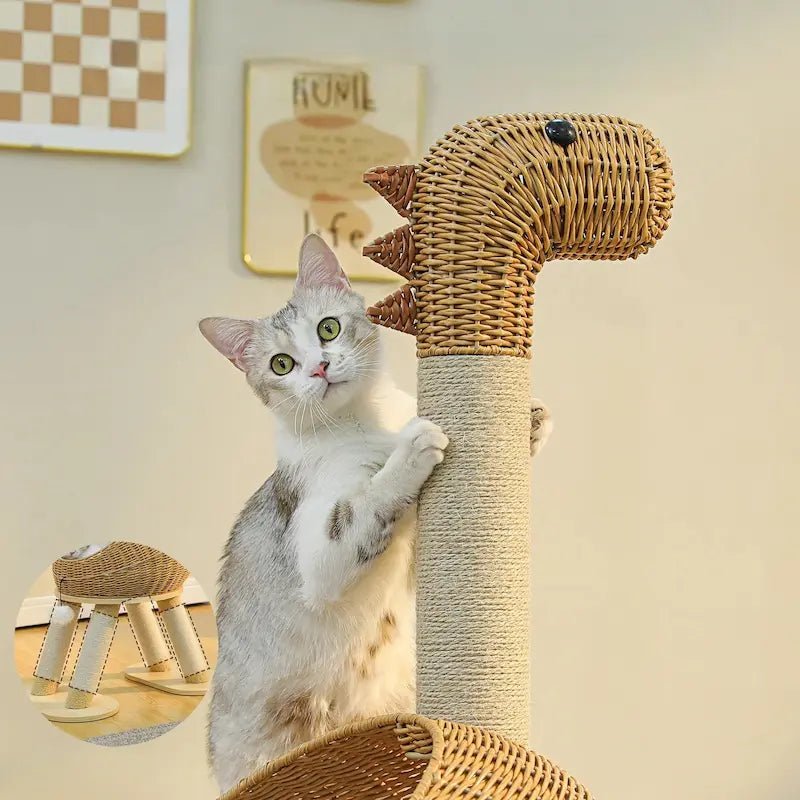 Arbre à chat dinosaure - Design ludique | DinoCat