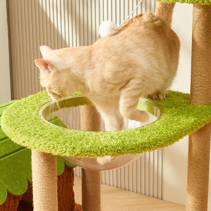 Arbre à chat Jungle Paradis - Multi-niveaux | Nekko