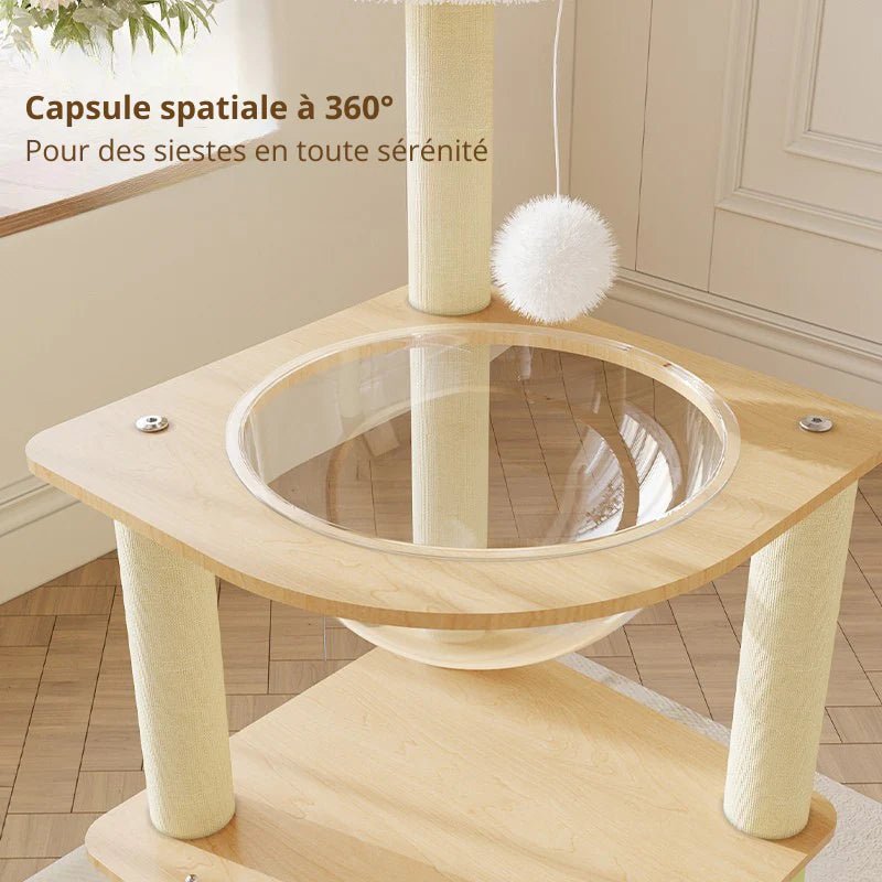 Arbre à chat Linea 100 - Compact et stable | FelinoHome