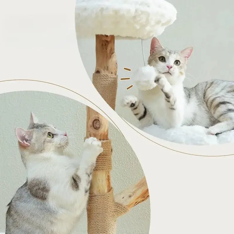 Arbre à chat nuage - Confort aérien | Miaosoft