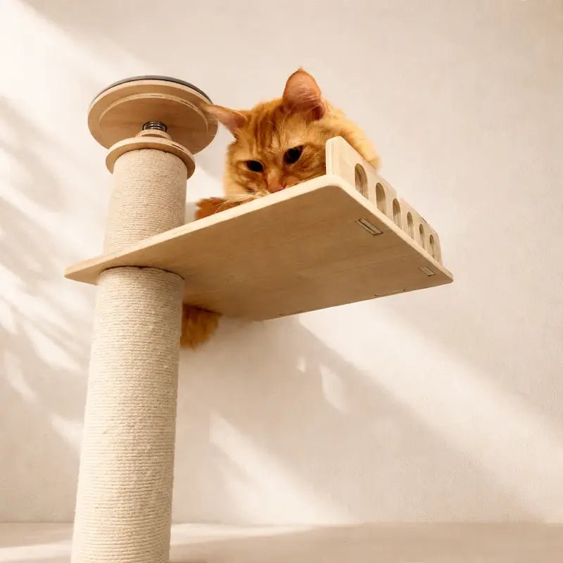 Arbre à chat plafond réglable - Stable sans perçage | Mewparnasse
