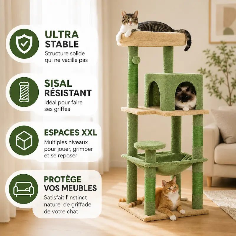 Arbre à chat solide - Résistant & durable | Catfort