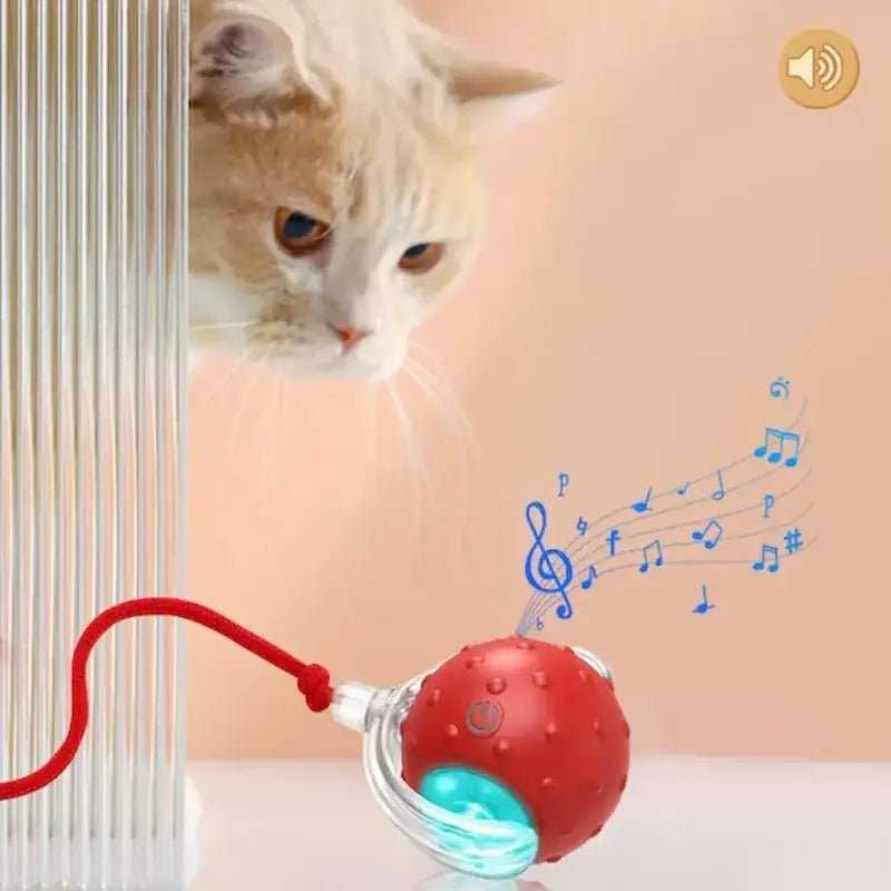Balle magique pour chat - Lumières & mouvement | FéliMagic