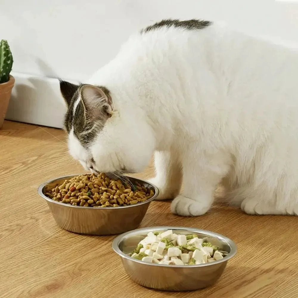 Bol en inox pour chat - Résistant et hygiénique Griffe d'Amour