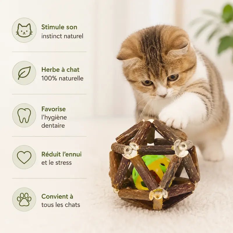 Boule Linglong - Stimule votre chat | PawZen