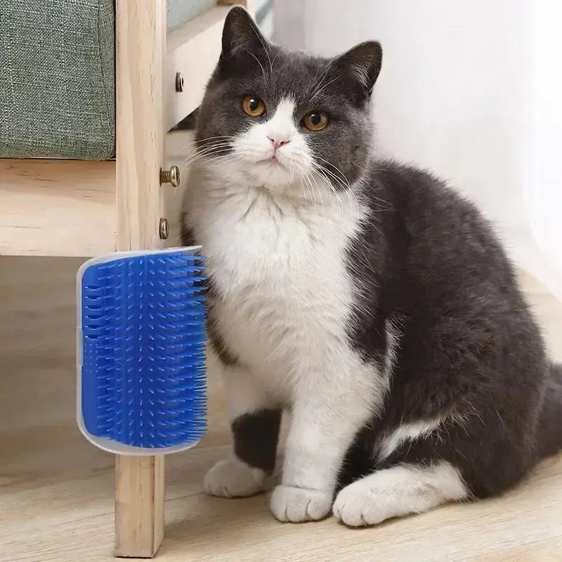 Brosse murale chat - Poils en moins, chat heureux | SelfPurr