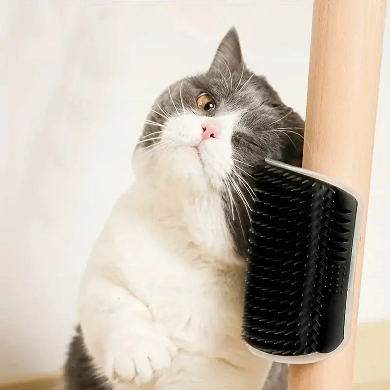 Brosse murale chat - Poils en moins, chat heureux | SelfPurr