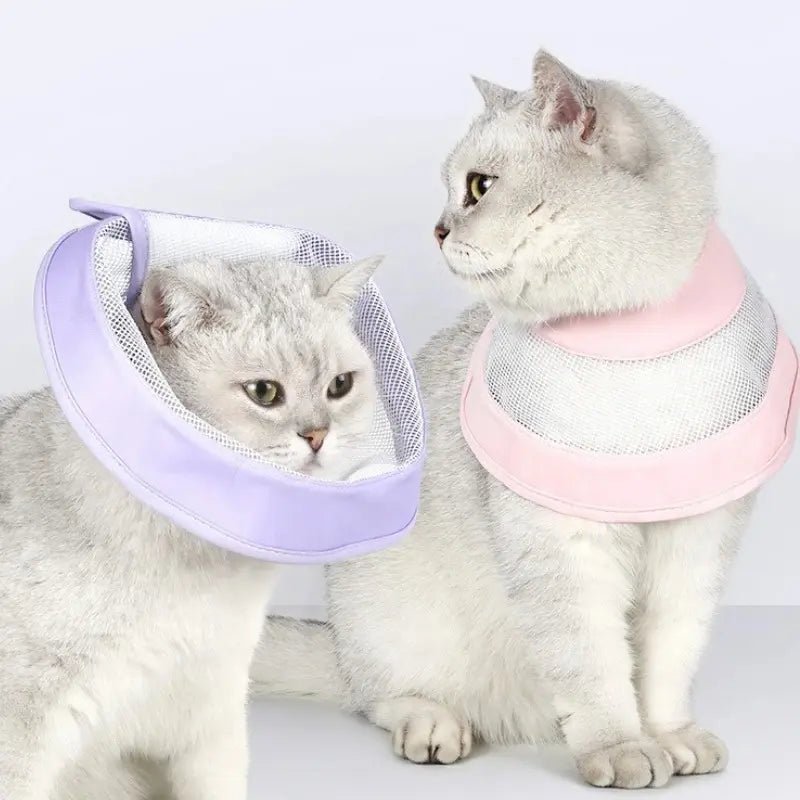 Collerette anti-rayures chat - Confort & hygiène | Pawlyss
