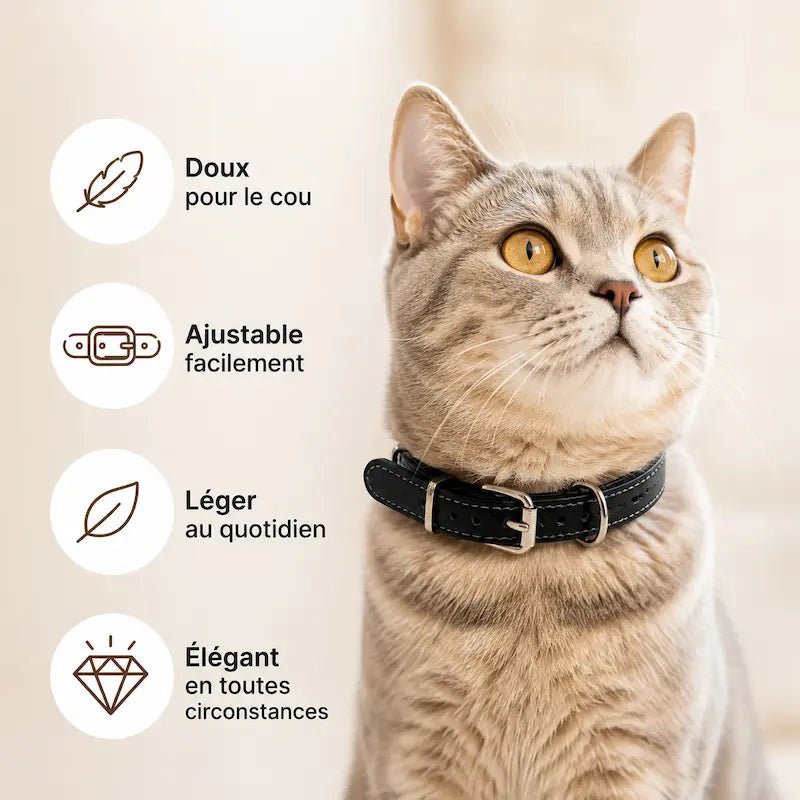 Collier cuir pour chat – Élégance & confort | LeatherCat