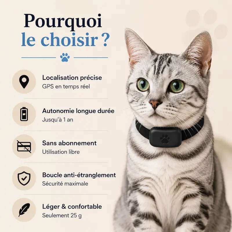 Collier de localisation pour chat - Zéro fugue | Trakomi