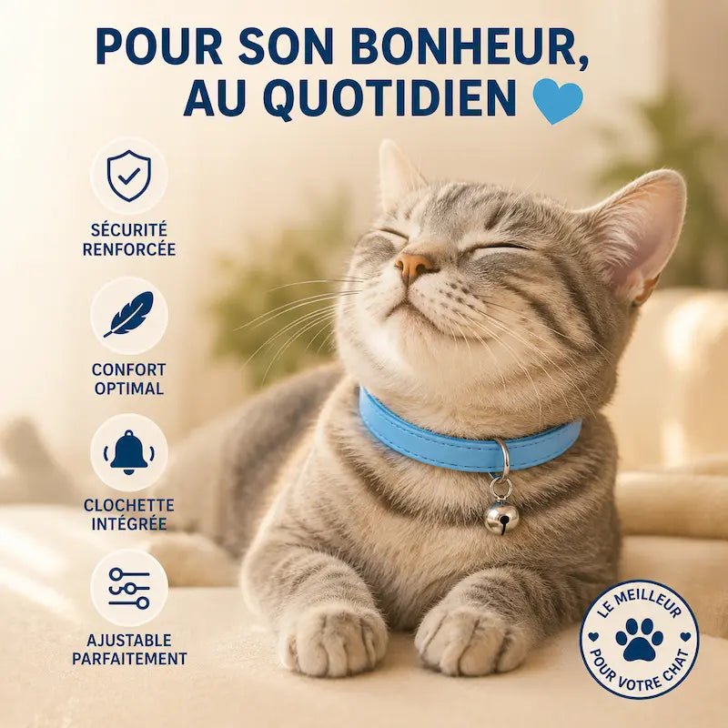 Collier élastique chat – Sécurité flexible | FlexiCat