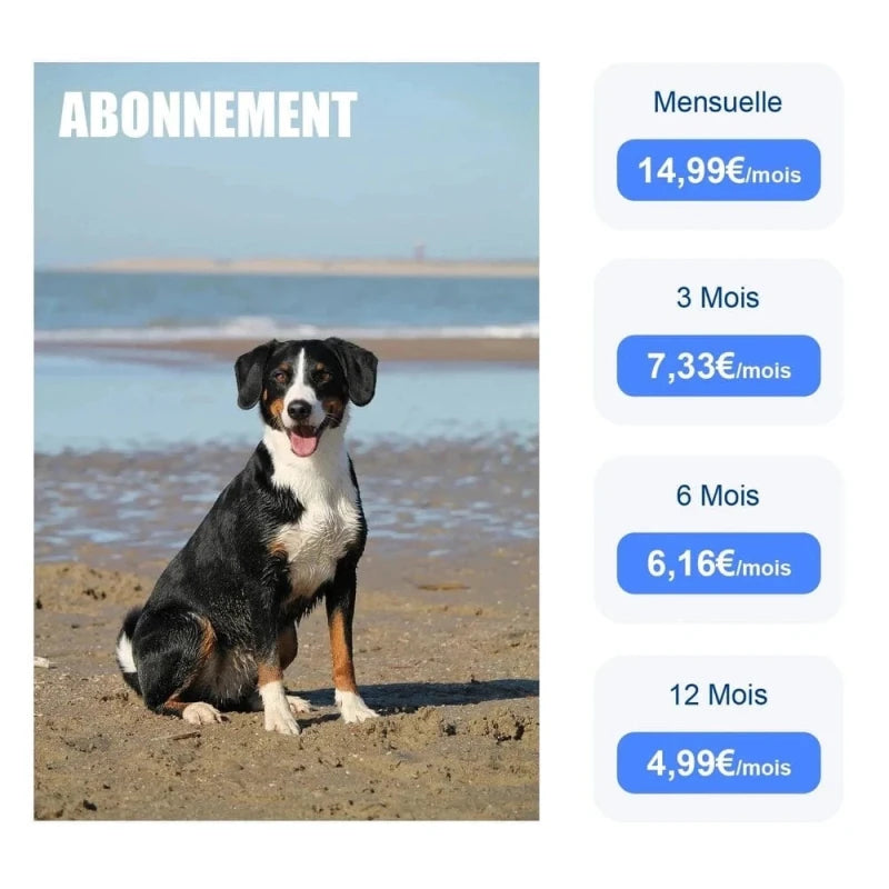 Collier GPS chat avec abonnement - Suivi live | PawLink