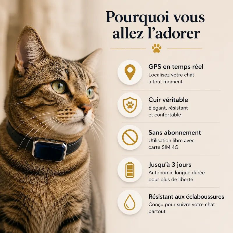 Collier GPS chat en cuir - Zéro fugue | Minouchic