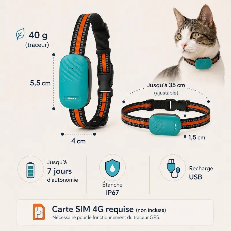 Collier traceur GPS pour chat - Zéro fugue | Pawlineo