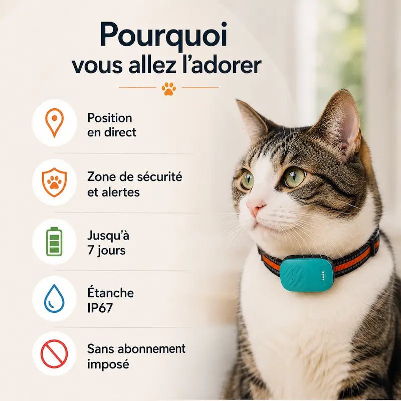 Collier traceur GPS pour chat - Zéro fugue | Pawlineo
