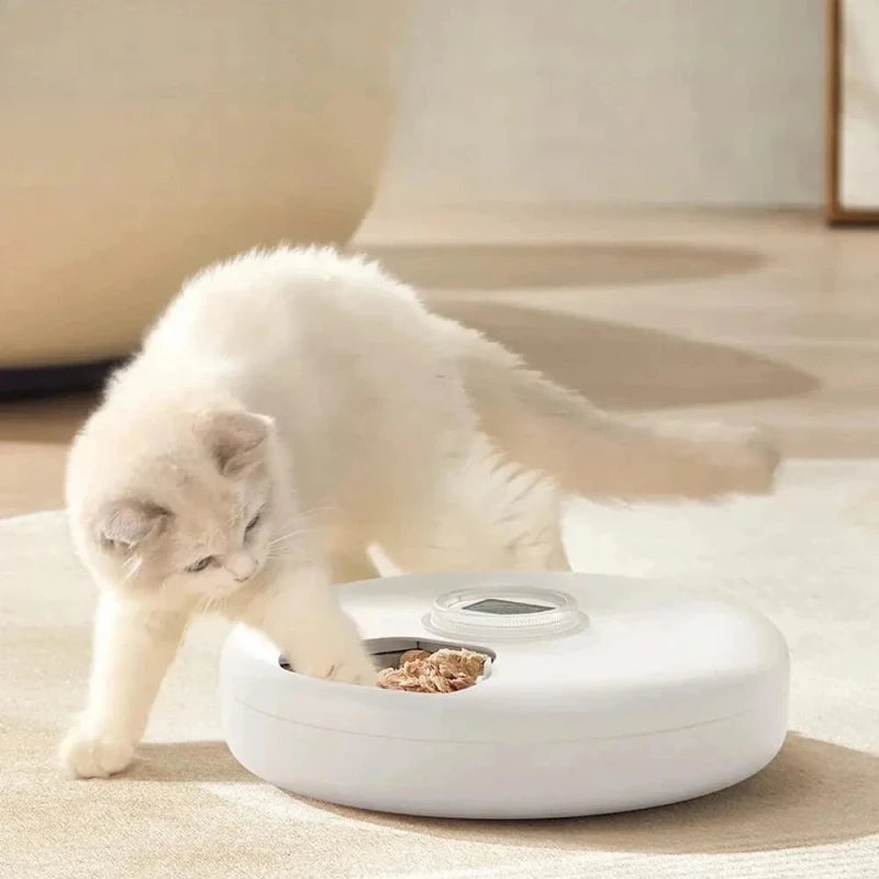 Distributeur automatique croquette 6 repas | Petiplan