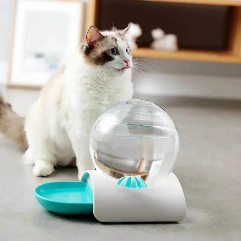 Distributeur eau chat 2,8L - Zéro filtre, zéro contrainte | PureMiaou