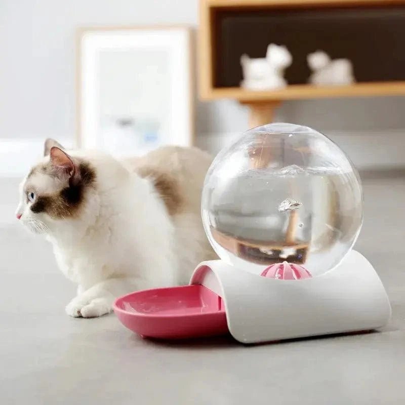 Distributeur eau chat 2,8L - Zéro filtre, zéro contrainte | PureMiaou