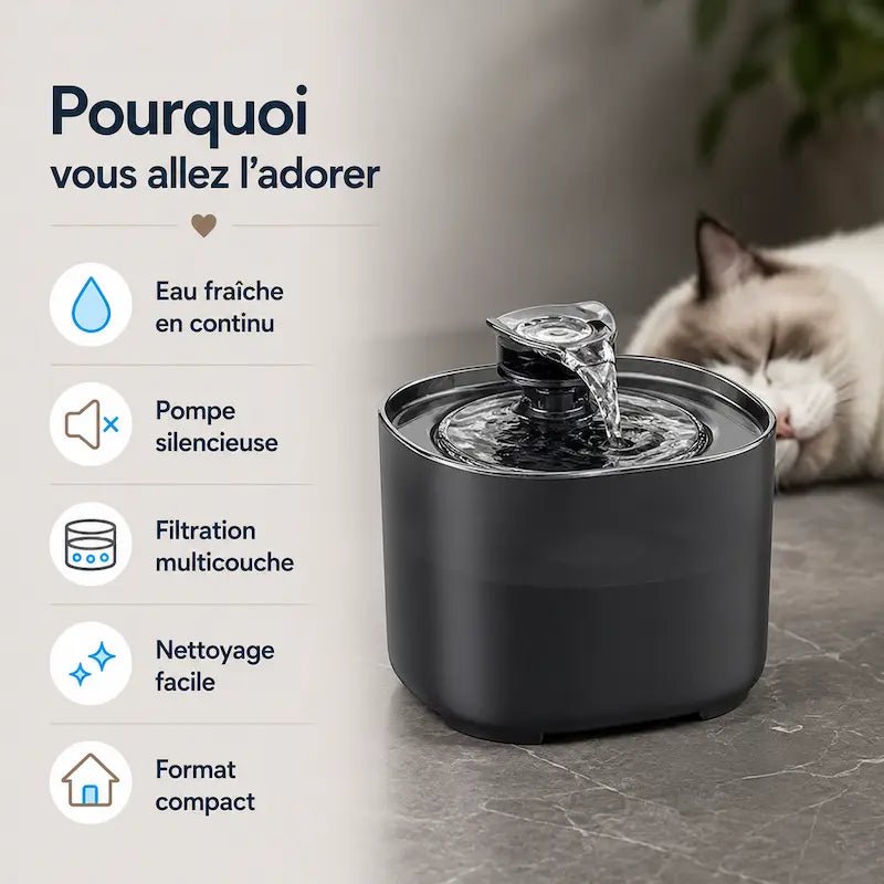 Fontaine à eau chat 2L - Idéale appartement | UrbanFlow