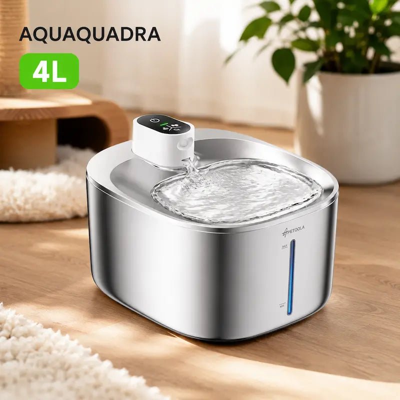 Fontaine à eau chat 4L - Idéale multi-chats | AquaQuadra