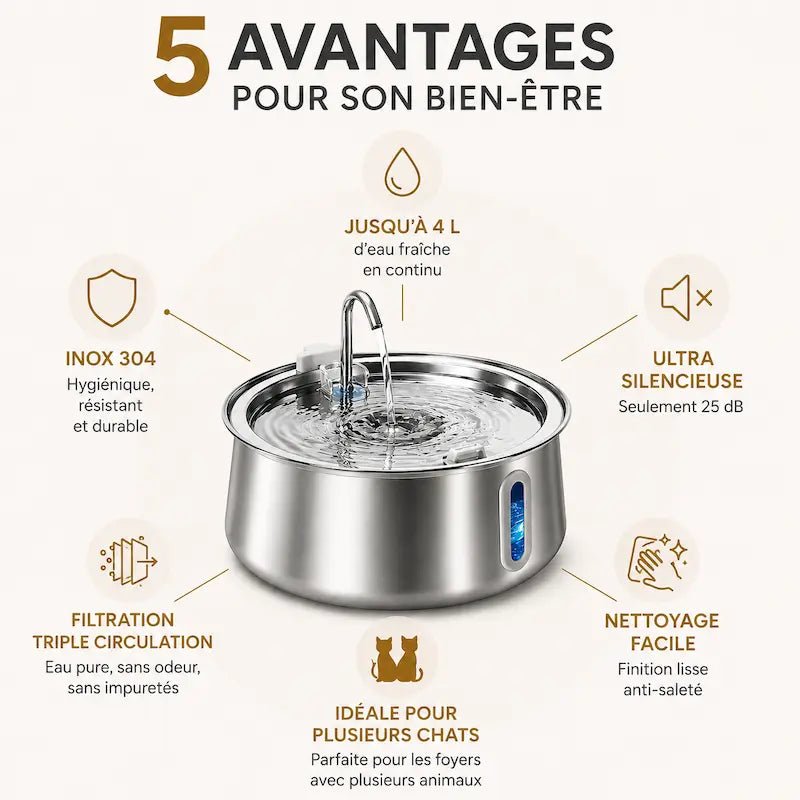 Fontaine à eau chat inox 4L – Hygiène maximale | FéliInox