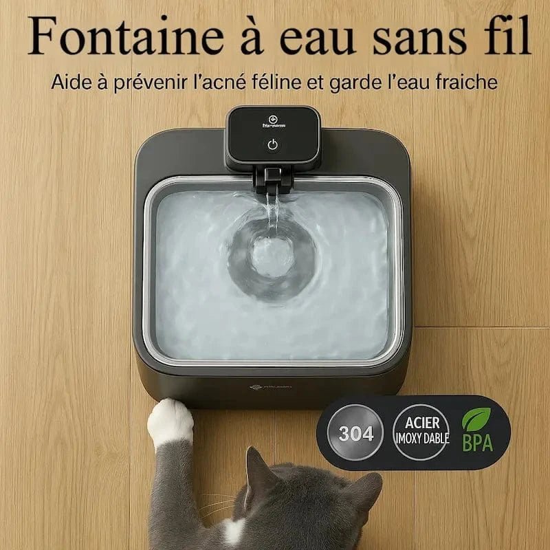Fontaine chat anti-bactérienne - Barrière anti-germes | DownyPaws