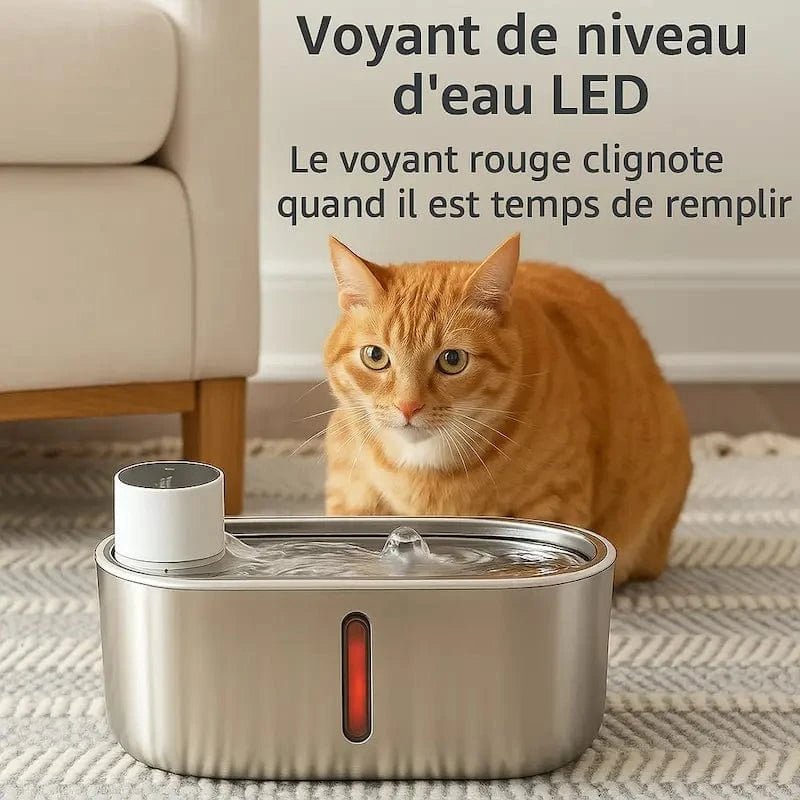 Fontaine chat sans fil à pile - Hydratation libre et durable | PurrWave