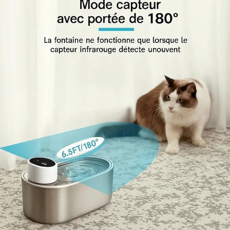Fontaine chat sans fil à pile - Hydratation libre et durable | PurrWave