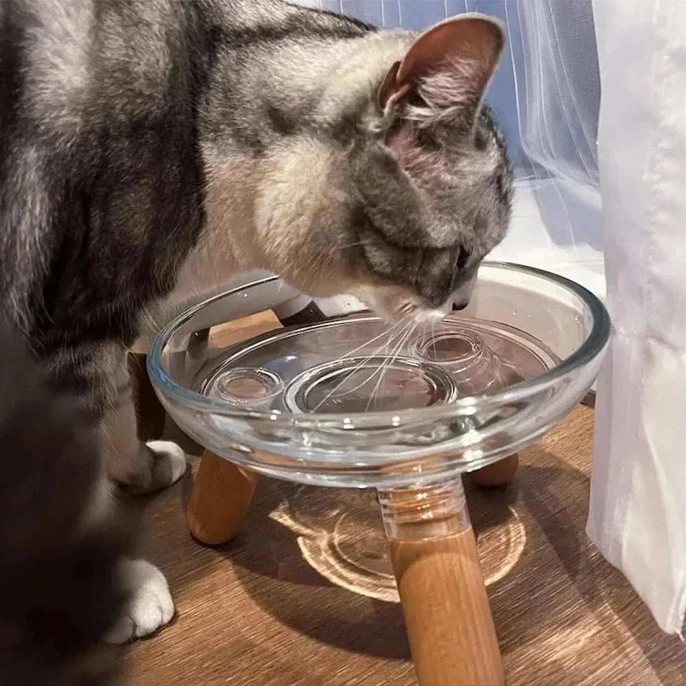 Gamelle en verre pour chat - Stable et facile à nettoyer Griffe d'Amour