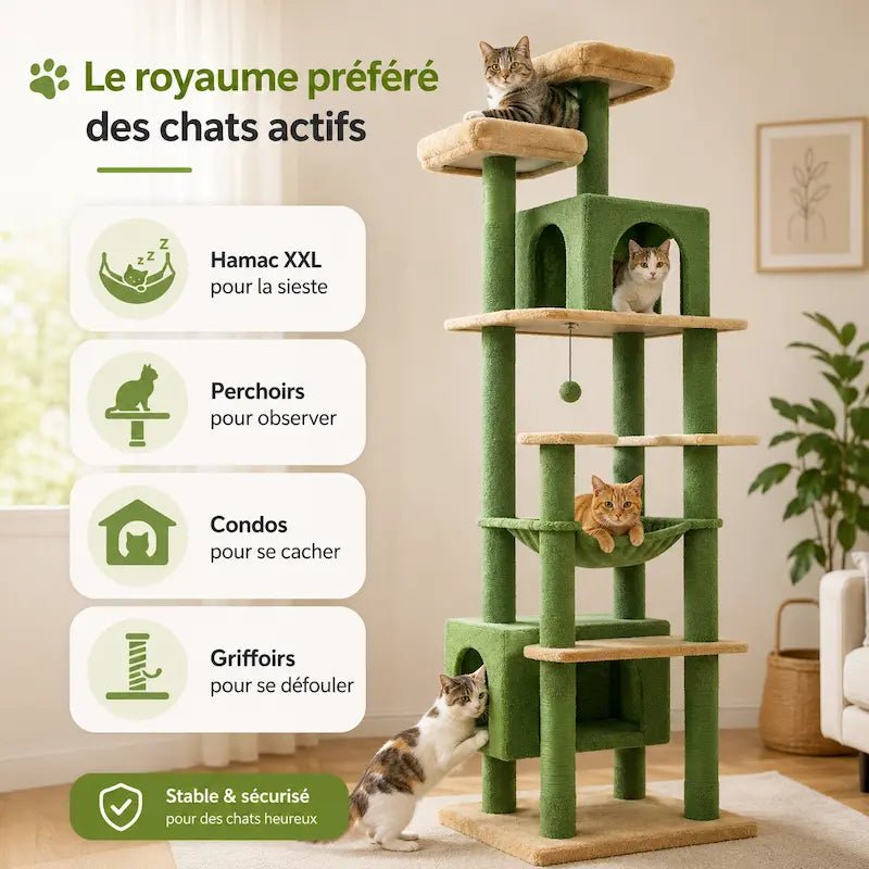 Grand arbre à chat multi-niveaux - Griffoirs sisal & hamac | AltoPurr